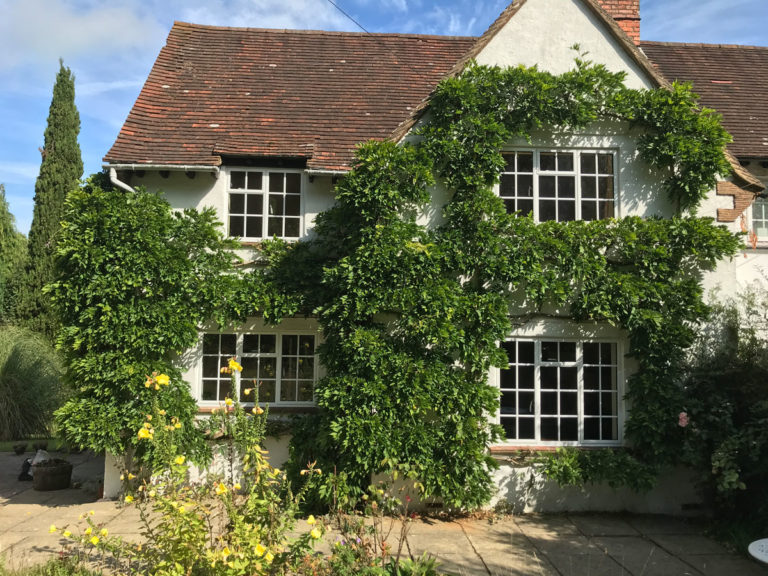 White cottage